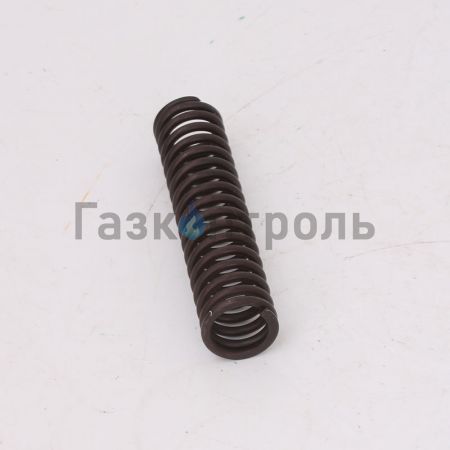 Пружина 8ТХ.281.195 фото 3